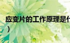 应变片的工作原理是什么（应变片的工作原理）