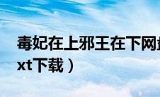 毒妃在上邪王在下网盘（毒妃在上邪王在下txt下载）