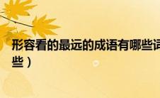 形容看的最远的成语有哪些词语（形容看的最远的成语有哪些）