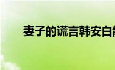 妻子的谎言韩安白静中白静出轨了吗