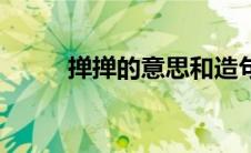 掸掸的意思和造句（掸掸的意思）
