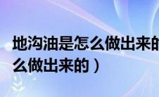 地沟油是怎么做出来的视频下载（地沟油是怎么做出来的）