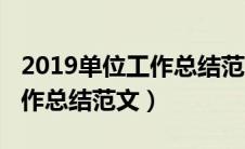 2019单位工作总结范文怎么写（2019单位工作总结范文）