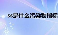 ss是什么污染物指标（ss是什么污染物）
