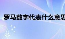 罗马数字代表什么意思（罗马数字1到100）