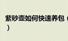 紫砂壶如何快速养包（紫砂壶怎么养包浆最快）