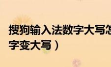 搜狗输入法数字大写怎么设置（搜狗输入法数字变大写）