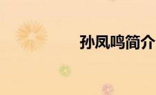 孙凤鸣简介（孙凤鸣）