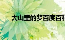 大山里的梦百度百科（大山里的欲望）