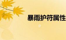 暴雨护符属性（暴雨护符）