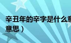 辛丑年的辛字是什么意思（辛丑年的辛是什么意思）