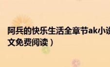 阿兵的快乐生活全章节ak小说（阿兵的快乐生活经典小说全文免费阅读）