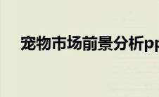 宠物市场前景分析ppT（宠物市场前景）
