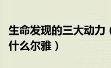 生命发现的三大动力（生命发展的三大动力是什么尔雅）
