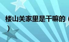 楼山关家里是干嘛的（楼关山真实身份是什么）