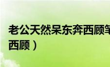 老公天然呆东奔西顾笔趣阁（老公天然呆东奔西顾）