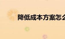 降低成本方案怎么写（降低成本）