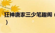 狂神唐家三少笔趣阁（狂神唐家三少无删减版）