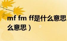 mf fm ff是什么意思（FM001FFP2NR是什么意思）