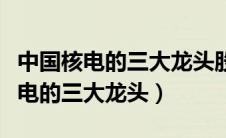 中国核电的三大龙头股票代码是多少（中国核电的三大龙头）