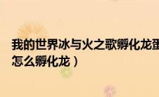 我的世界冰与火之歌孵化龙蛋要多久（我的世界冰与火之歌怎么孵化龙）