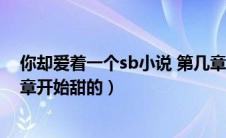 你却爱着一个sb小说 第几章在一起（你却爱着一个sb哪一章开始甜的）