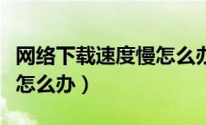 网络下载速度慢怎么办手机（网络下载速度慢怎么办）