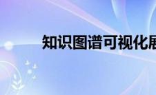 知识图谱可视化展示（知识视图）