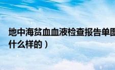 地中海贫血血液检查报告单图片（地中海贫血报告单图片是什么样的）