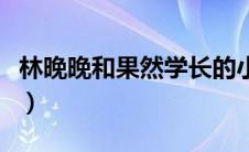 林晚晚和果然学长的小说（林晚晚和果然学长）