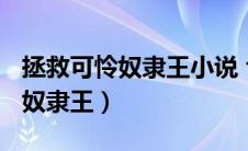 拯救可怜奴隶王小说 txt百度网盘（拯救可怜奴隶王）