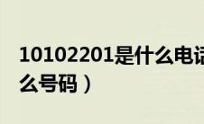 10102201是什么电话号码（10102201是什么号码）