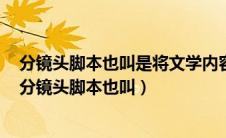 分镜头脚本也叫是将文学内容转换成镜头语言的一种剧本（分镜头脚本也叫）