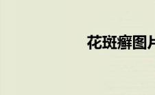 花斑癣图片（花吧）