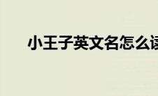 小王子英文名怎么读（小王子英文名）