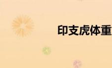 印支虎体重（印支虎）