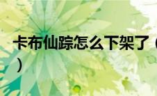 卡布仙踪怎么下架了（卡布仙踪极品号和密码）