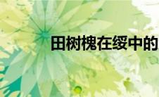 田树槐在绥中的案件（田树槐）