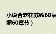 小说合欢花苏媚60章节阅读（小说合欢花苏媚60章节）