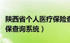 陕西省个人医疗保险查询系统（陕西省个人医保查询系统）