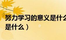 努力学习的意义是什么作文（努力学习的意义是什么）