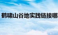鹤啸山谷地实践链接哪里看（鹤啸山谷地sp）