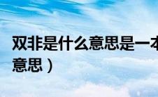 双非是什么意思是一本还是二本（双飞是什么意思）