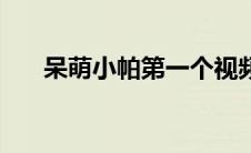呆萌小帕第一个视频（呆萌小帕真人）
