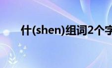 什(shen)组词2个字（什组词有哪些）