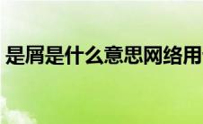 是屑是什么意思网络用语（是屑是什么意思）