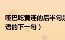 哑巴吃黄连的后半句是什么（哑巴吃黄连歇后语的下一句）