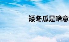 矮冬瓜是啥意思（矮冬瓜）
