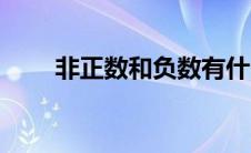 非正数和负数有什么区别（非正数）