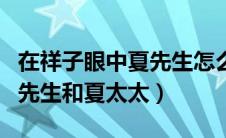 在祥子眼中夏先生怎么样（祥子是如何看待夏先生和夏太太）